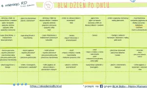 Jadłospis dla 7-miesięcznego niemowlęcia: różnorodne posiłki, np. zupa z makaronem, placki jogurtowe, omlety. Ile powinno jeść 7 miesięczne niemowlę? Sprawdź!