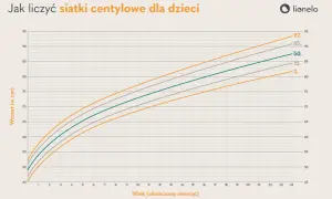 Siatka centylowa chłopcy: wykres wzrostu od 0 do 24 miesięcy z zaznaczonymi centylami 3., 15., 50., 85. i 97.