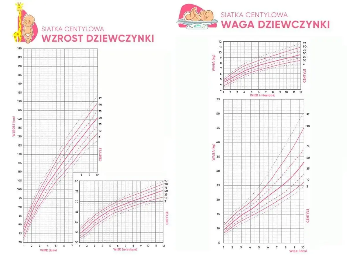 Siatki centylowe dla dziewczynek: wzrost i waga. Sprawdź, ile waży 10-miesięczne niemowlę.