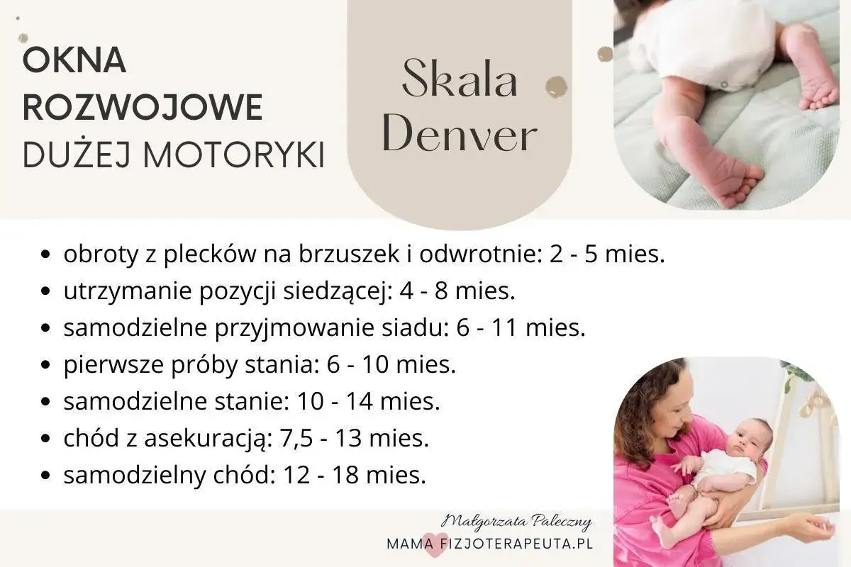 Skala Denver: okna rozwojowe dużej motoryki. W 10 miesiącu dziecko może podejmować pierwsze próby stania.