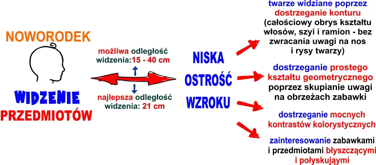 Jak widzi dwumiesięczne dziecko: niską ostrość wzroku, widzi kontury twarzy, proste kształty i mocne kontrasty.
